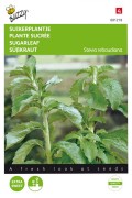 Suikerplantje Stevia zaden