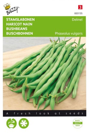Delinel Green Bush beans