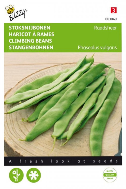 Raadsheer Climbing French beans