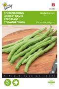Neckarkönigin Pole beans