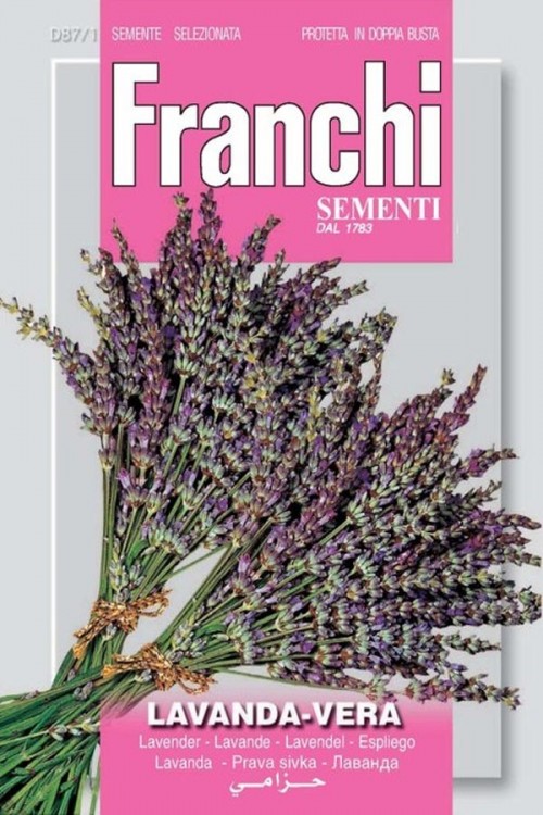 Lavendel Lavanda Vera zaden - Franchi Sementi