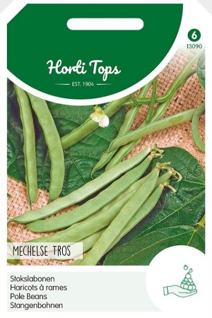 Mechelse Tros Pole Bean seeds