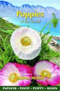 Shirley Poppy rhoeas seeds