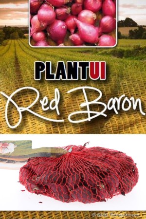 Red Baron rode plantuien 250g