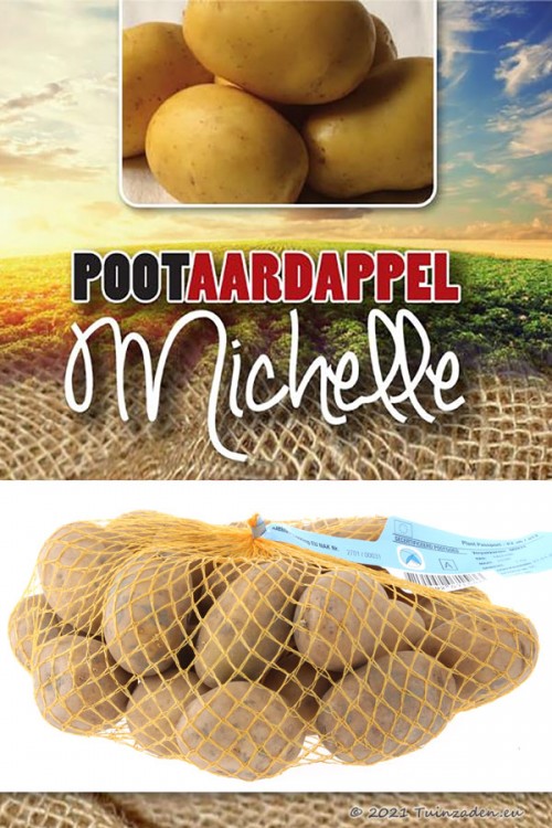 Michelle Late Seed Potatoes 1Kg