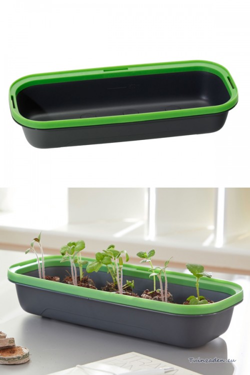 BoQube Seed Tray S - 28x12x5cm - Anthracite Green