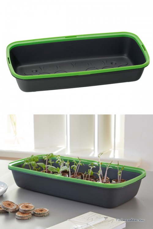 BoQube Seed Tray M - 37x19x7cm - Anthracite Green