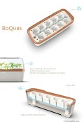 BoQube L propagator & planttray 2in1- Cream Copperbrown