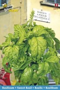 Napolitano Basil - Lettuce Leaf Sweet Basil seeds