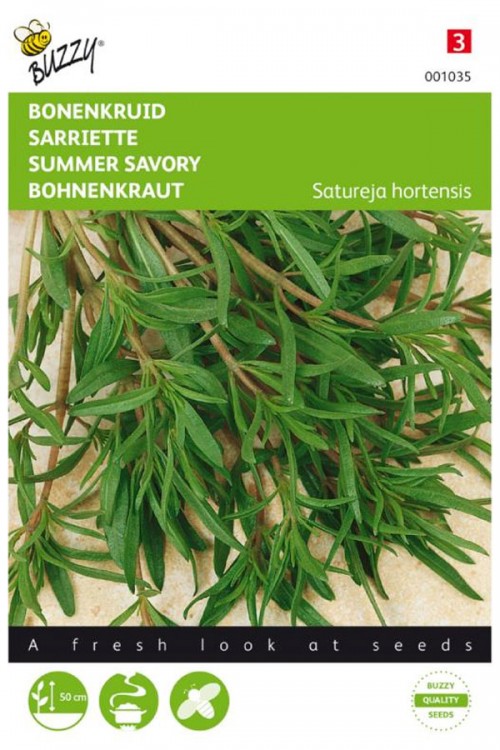Annual Summer Savory seeds