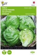 Iceberg Geat Lakes 118 Lettuce seeds