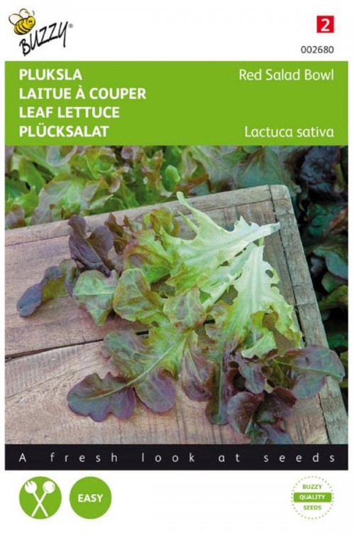 Red Salad Bowl Red Oak leaf lettuce seeds