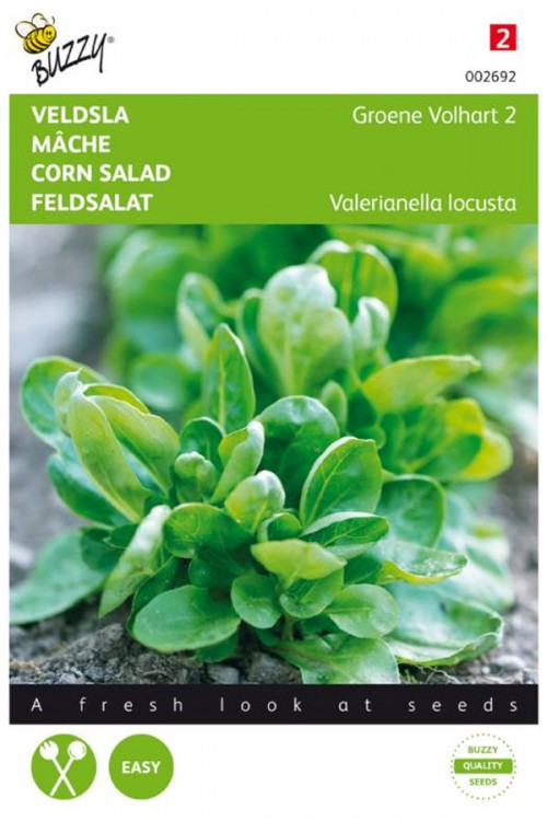 Groene Volhart 2 Corn Salad seeds