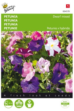 Lage gemengde Petunia zaden
