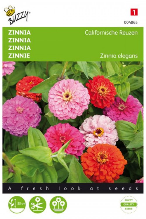 Giants of California Zinnia seeds