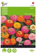 Lilliput Pompon Zinnia seeds
