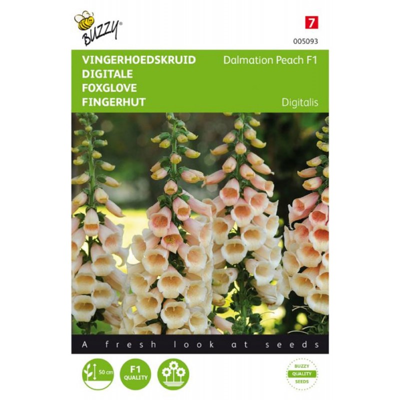 Dalmation Peach F1 Vingerhoedskruid zaden Digitalis kopen? Tuinzaden.eu