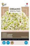 Alfalfa 250 gram bulk pack - Organic Sprouting
