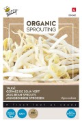 Mung Beans 250 gram bulk pack Organic Sprouting seeds