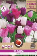 MIX Ella - 25 Paars Wit en Roze Tulpen Grootverpakking