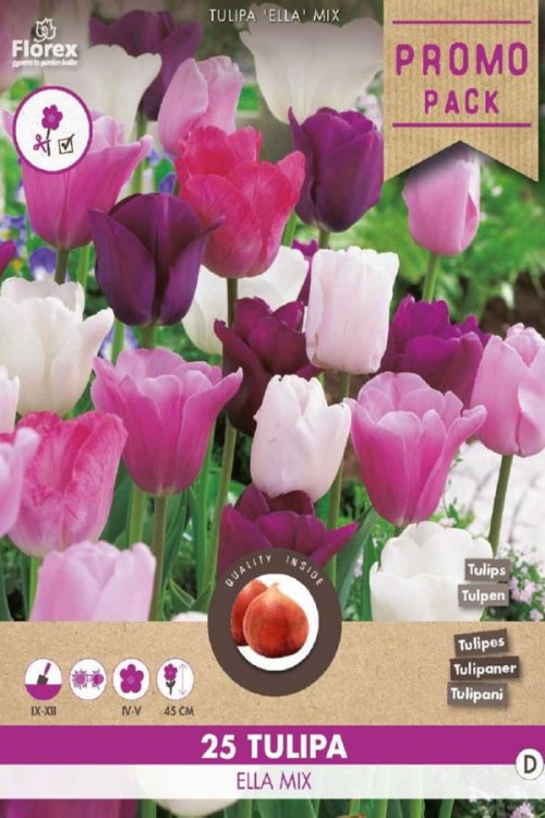 MIX Ella - 25 Purple-White-Pink Tulip bulbs PROMO PACK