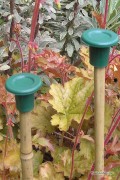 Eye Protector Cane Caps - Safety Toppers