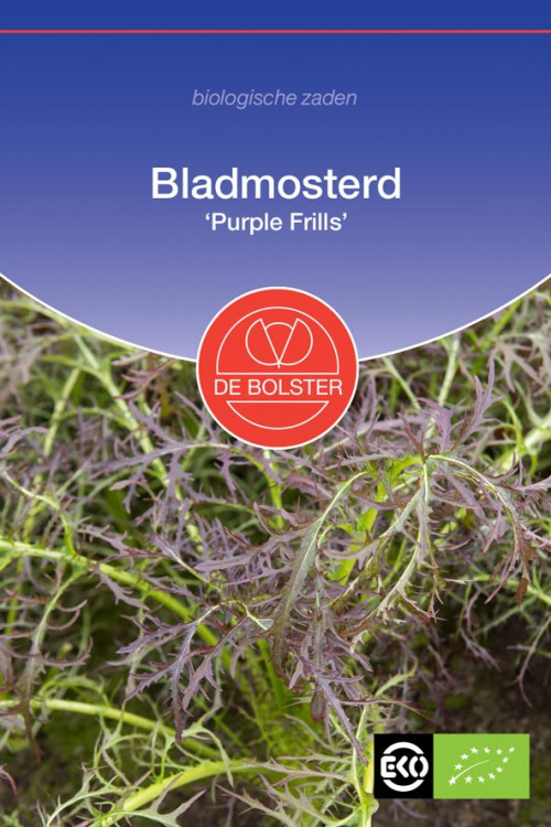 Purple Frills leaf mustard organic seeds