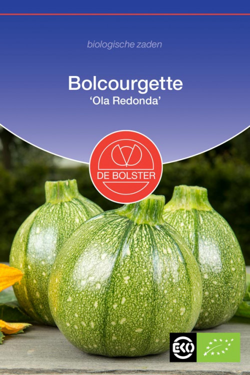Ola Redonda Bolcourgette biologische zaden