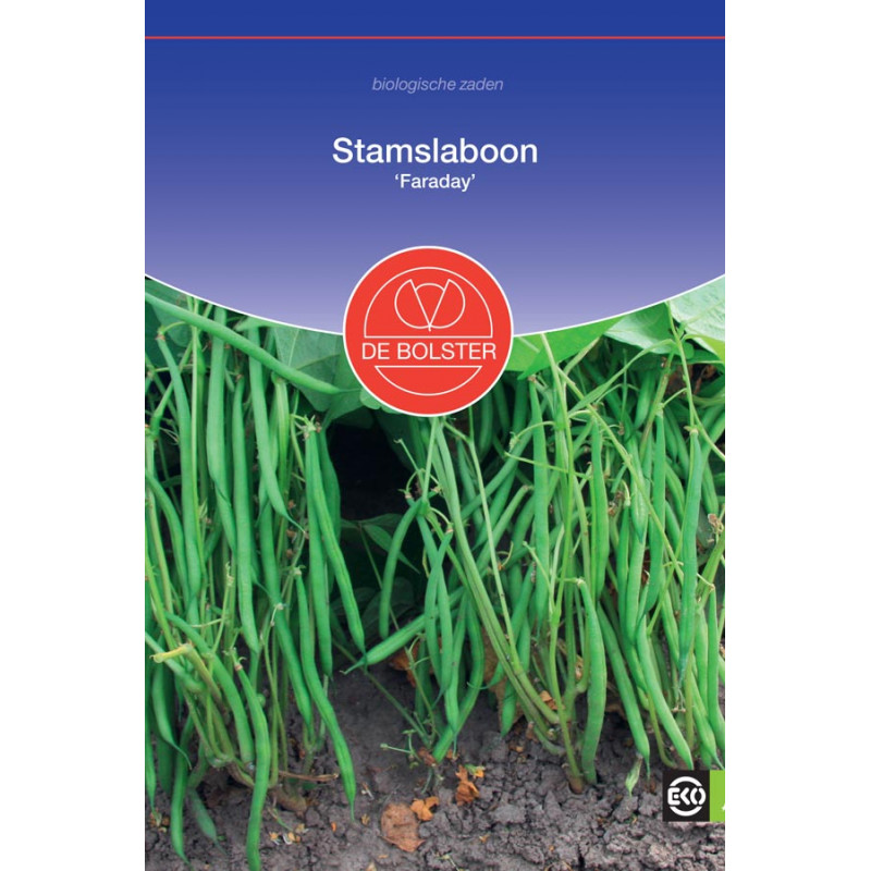 Needle Beans Haricot Verts Vegetable seeds Seeds • Tuinzaden.eu