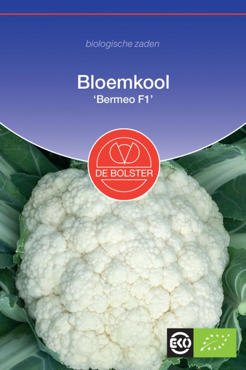 Bermeo F1 Cauliflower organic seeds