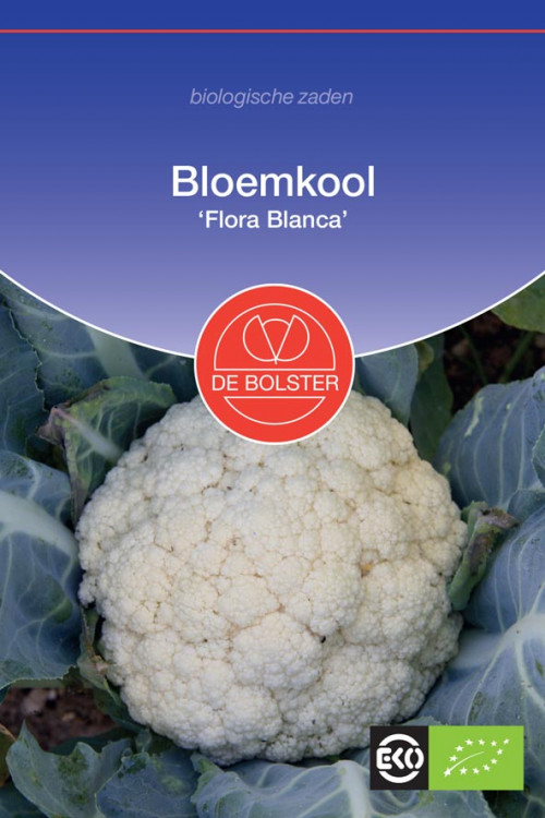 Flora Blanca Cauliflower organic seeds