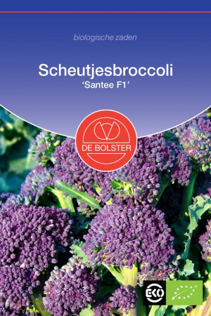 Santee F1 Scheutjesbroccoli biologische zaden