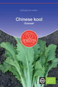 Granaat Chinese cabbage Organic seeds