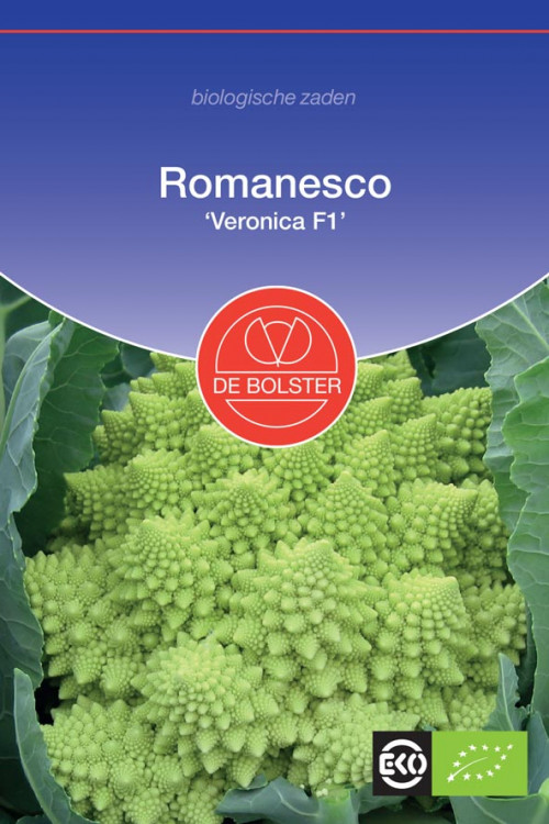 Veronica F1 Romanesco organic seeds