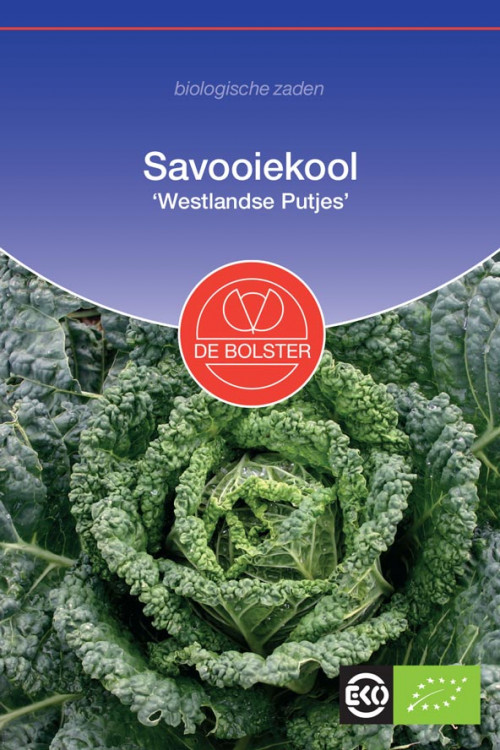 Westlandse Putjes savoy cabbage organic seeds
