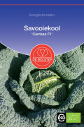 Cantasa F1 savoy cabbage organic seeds