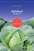 Caraflex F1 Pointed cabbage organic seeds