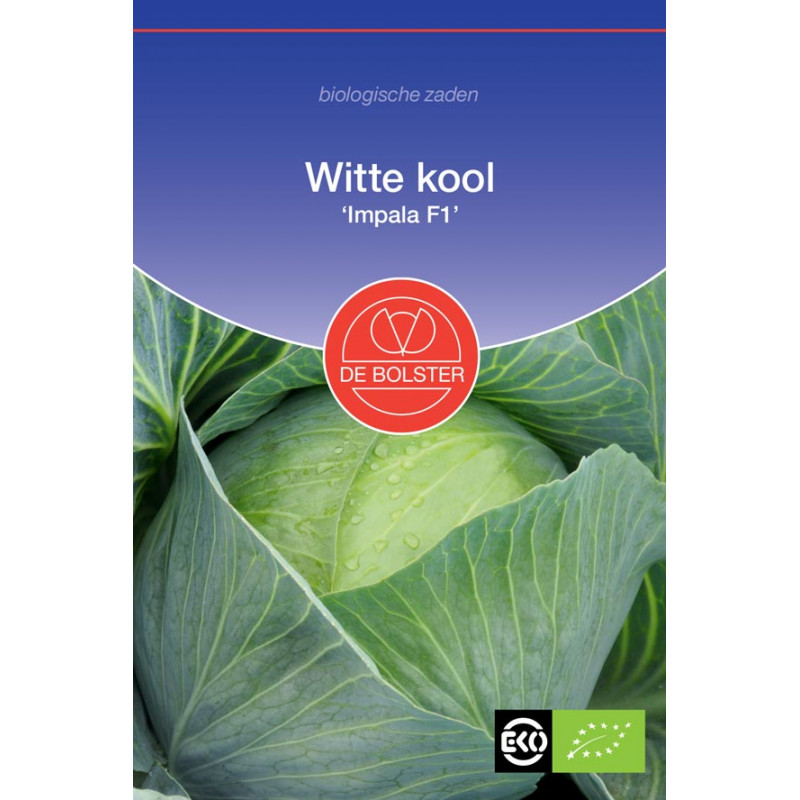 Impala F1 white cabbage organic seeds - White Other • Tuinzaden.eu