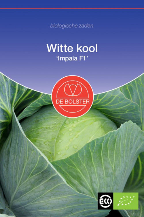 Impala F1 white cabbage organic seeds