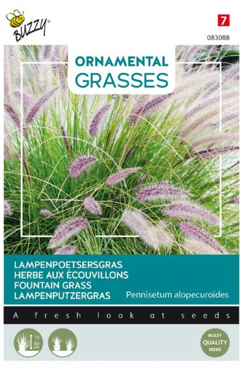 Fountain Grass seeds
