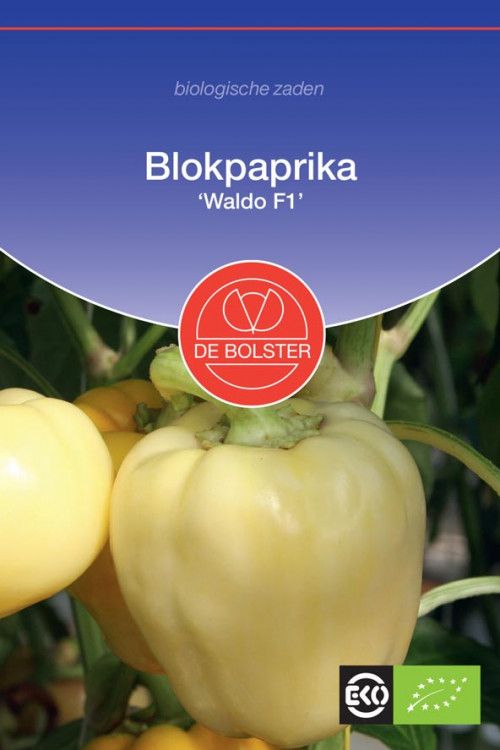 Waldo F1 Blokpaprika biologische zaden