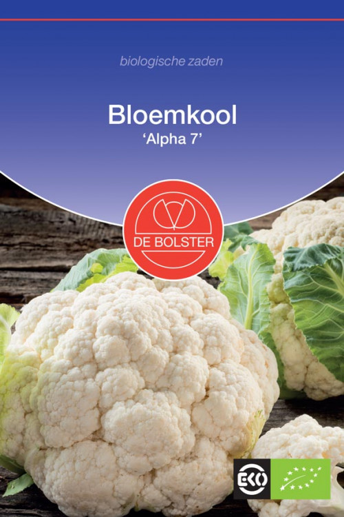 Alpha 7 Bloemkool biologische zaden