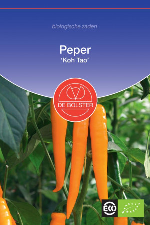Koh Tao Pepper Organic seeds
