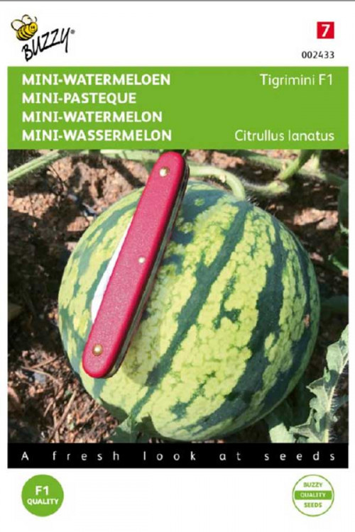 Tigrimini F1 - Mini Watermeloen zaden