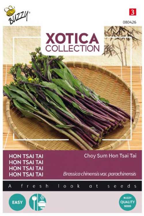 Purple Choy Sum - Hon Tsai Tai seeds