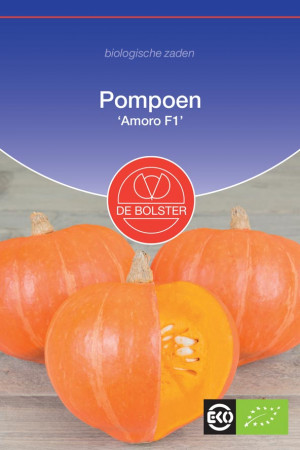 Amoro F1 Pumpkin Organic seeds