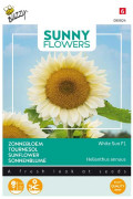 White Sun F1 Sunflower Helianthus seeds