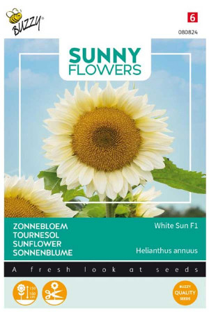 White Sun F1 Sunflower...