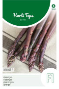 Albenga F1 purple Asparagus seeds