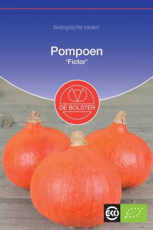 Fictor Pumpkin Organic seeds